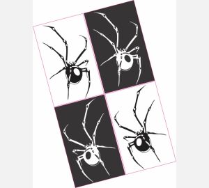Adesivo Aranha M