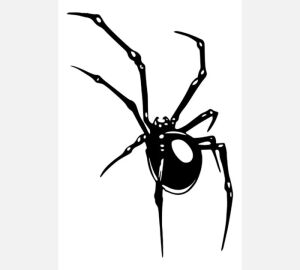 Adesivo Aranha G Preta