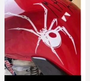 Adesivo Aranha G Branca